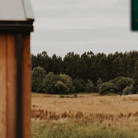 Limbo De Chalet Malpica